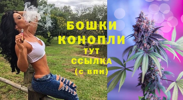 трава Елабуга