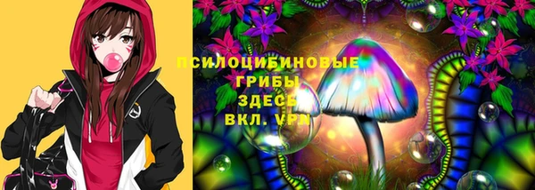 мдпв Арсеньев