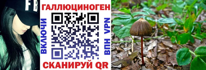 МЕГА зеркало  Ленск  Галлюциногенные грибы прущие грибы  как найти закладки 
